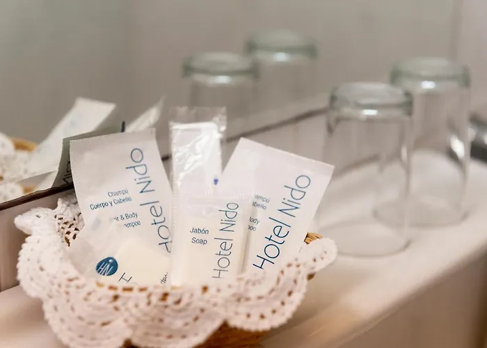 爱妮岛酒店 酒店 *